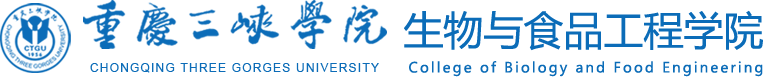 RAYBET雷竞技